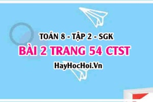 Bài 2 trang 54 Toán 8 Tập 2 Chân trời sáng tạo